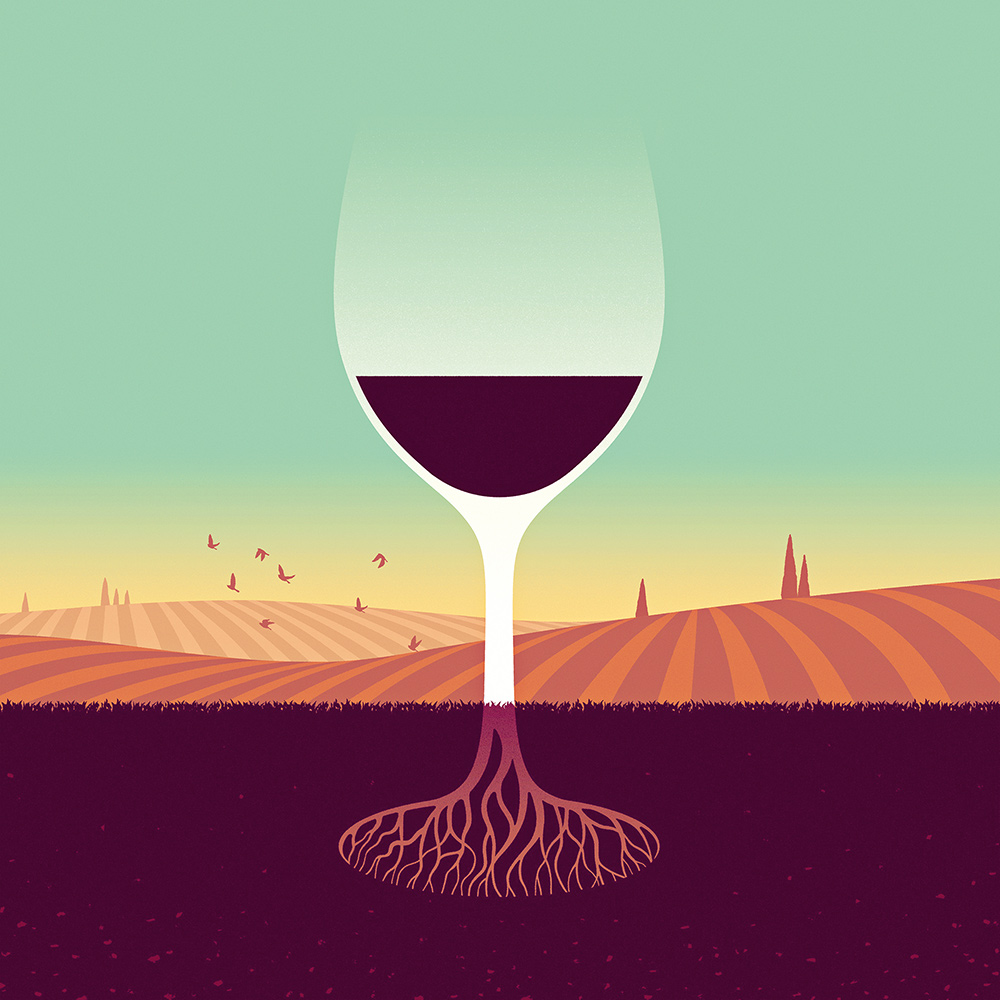 Terroir